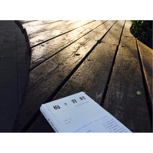 梅子青時：外婆的青春紀念冊