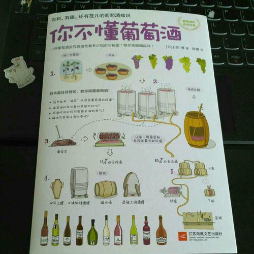 你不懂葡萄酒：有料有趣還有范兒的葡萄酒知識