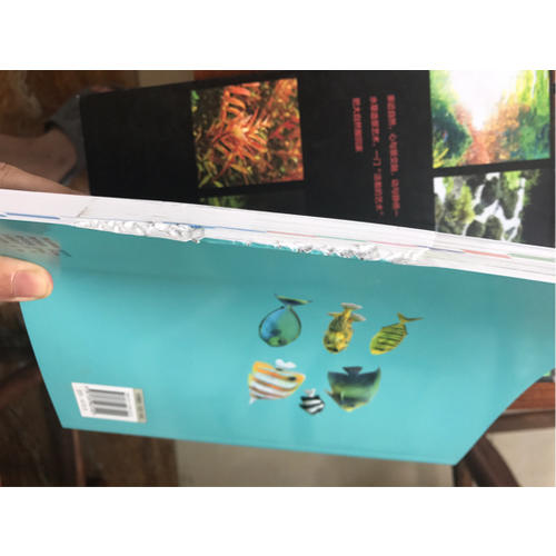 熱帶魚·水草圖鑒：近400種熱帶魚及水草賞析與飼養技巧