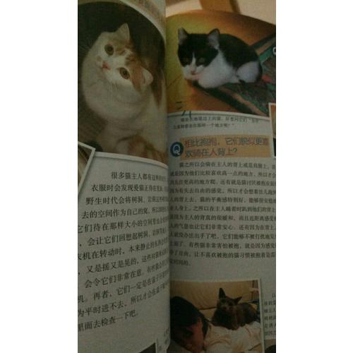 貓語(yǔ)大辭典