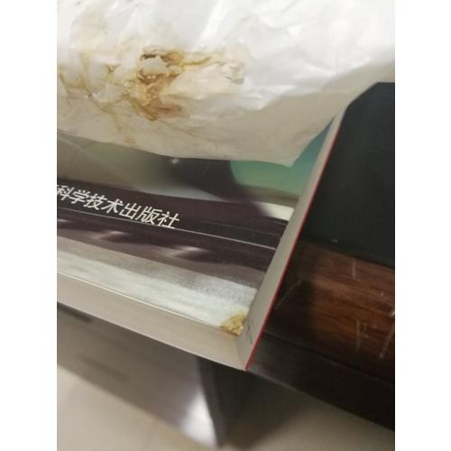 大國速度：中國高鐵崛起之路