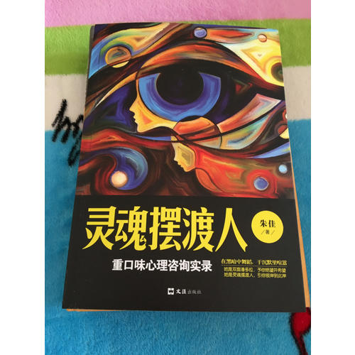 靈魂擺渡人：重口味心理咨詢實錄