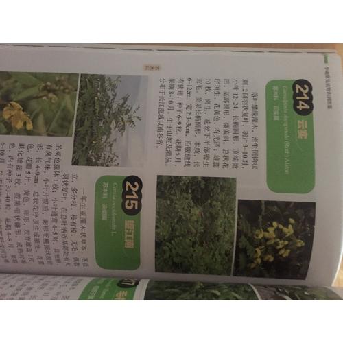 華南常見植物識別圖鑒
