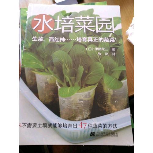 水培菜園