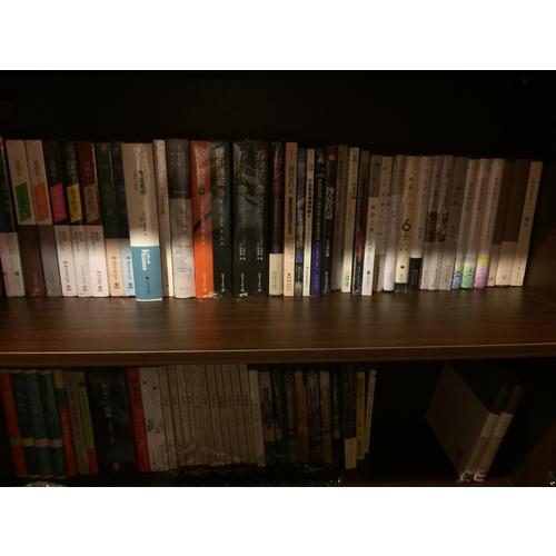 痛苦與狂喜：向石而生（米開朗基羅傳1）