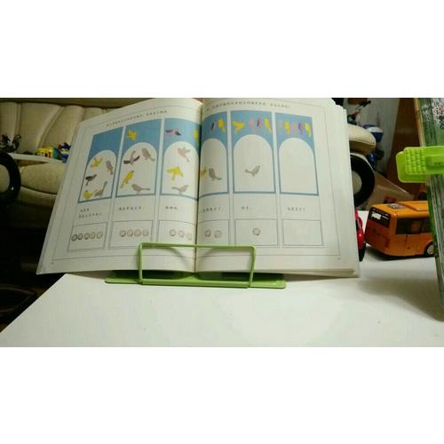 走進(jìn)奇妙的數(shù)學(xué)世界（全3冊）