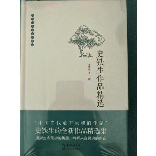 史鐵生作品精選