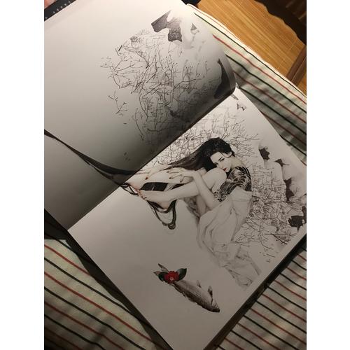 飛鳥與魚:張小白個(gè)人作品集