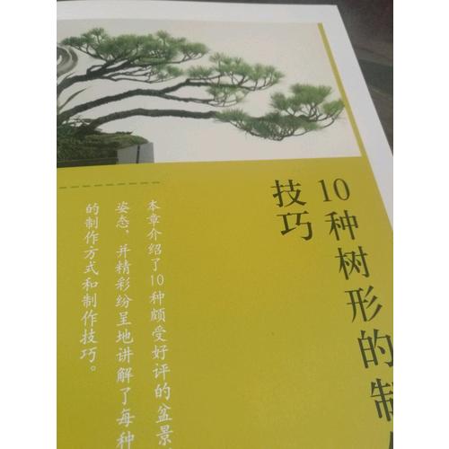 玩苔蘚：六大名師教你手制苔蘚球和苔蘚小景