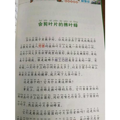 昆蟲(chóng)記（彩繪注音版）