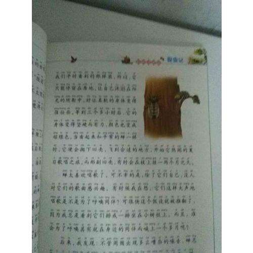 昆蟲(chóng)記（彩繪注音版）