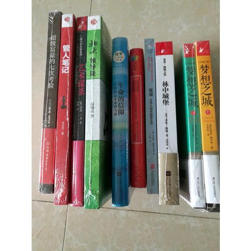夢(mèng)想之城（上下冊(cè)）