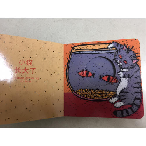 寶寶的及時本躲貓貓游戲書 猜猜我是誰系列套裝（全4冊）