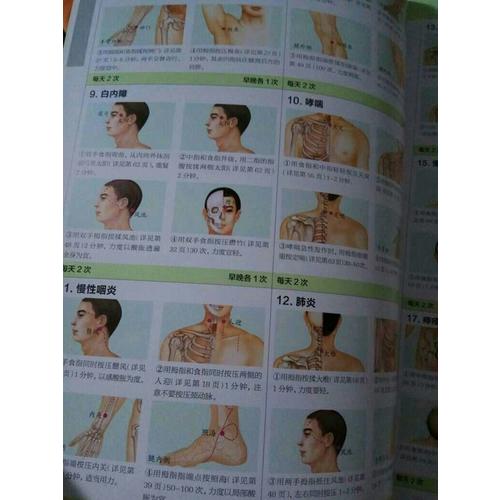 圖解人體經(jīng)絡(luò)穴位養(yǎng)生一本通