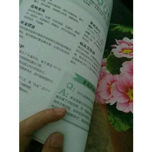健康花草旺全家（漢竹）