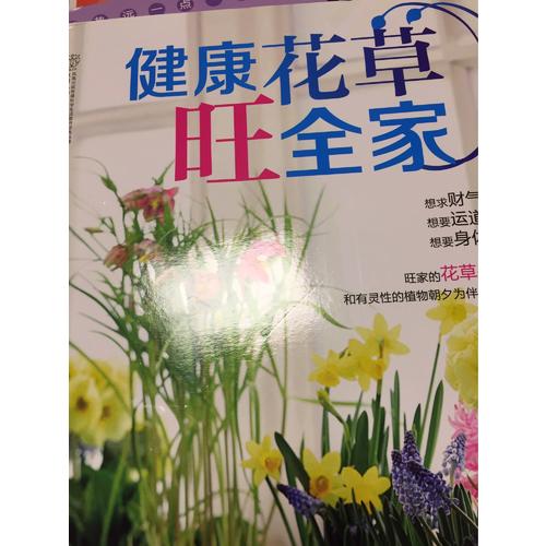 健康花草旺全家（漢竹）
