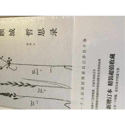 顧城哲思錄