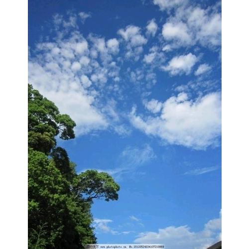 蘇東坡詞傳·人間有味是清歡（浪漫古典行·人物卷）