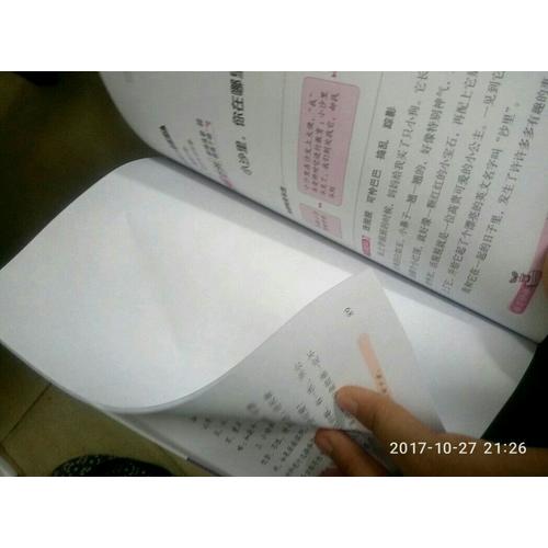 小學(xué)生作文（名師講作文——三 四 五 六年級(jí)適用）