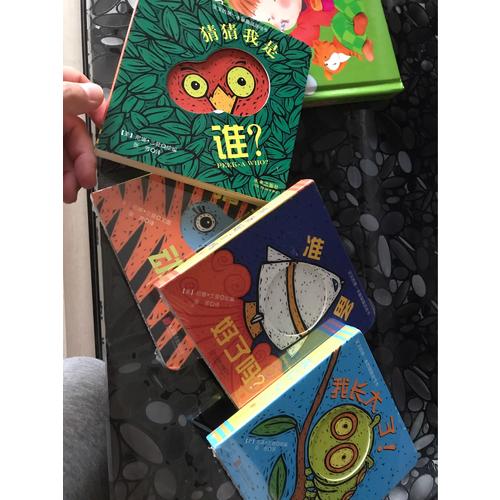 寶寶的及時本躲貓貓游戲書：我長大了