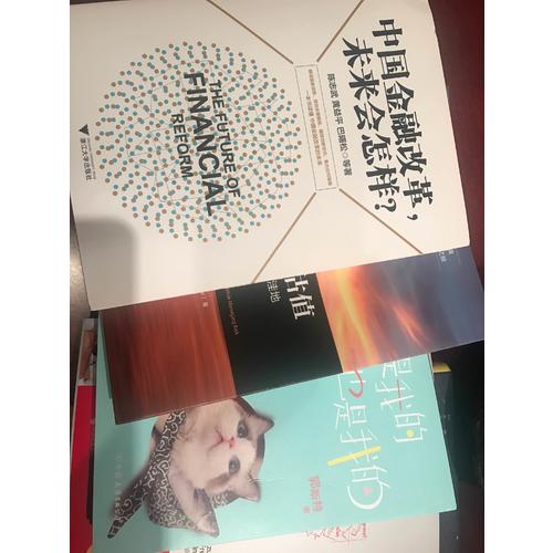 中國金融改革，未來會怎樣？