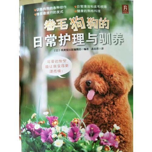 卷毛狗狗的日常護理與馴養(yǎng)