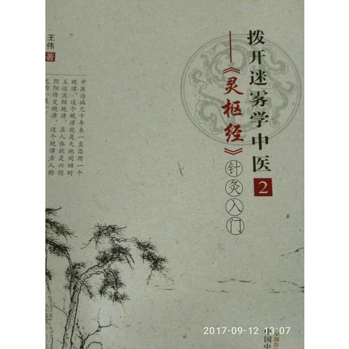 撥開迷霧學(xué)中醫(yī)2·靈樞經(jīng)針灸入門