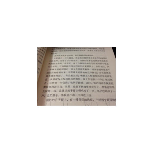 動(dòng)物小說(shuō)大王沈石溪·品藏書系：五只小狼