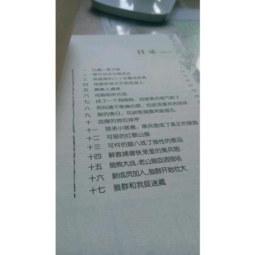 動(dòng)物小說(shuō)大王沈石溪·品藏書系：五只小狼