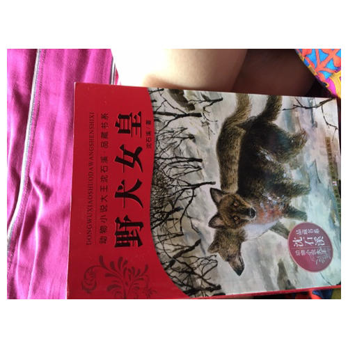 動物小說大王沈石溪.品藏書系：野犬女皇