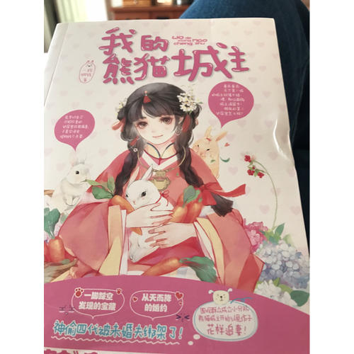 我的熊貓城主