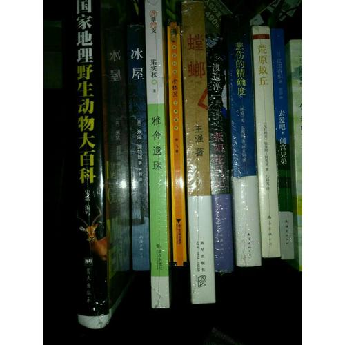 中國傳統金銀器藝術鑒賞