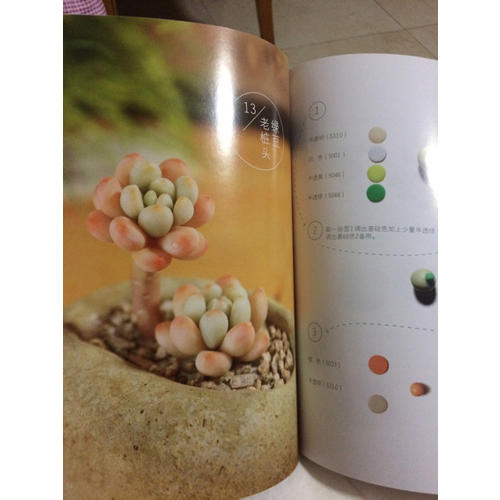 多肉萌語，軟陶養成私房手貼