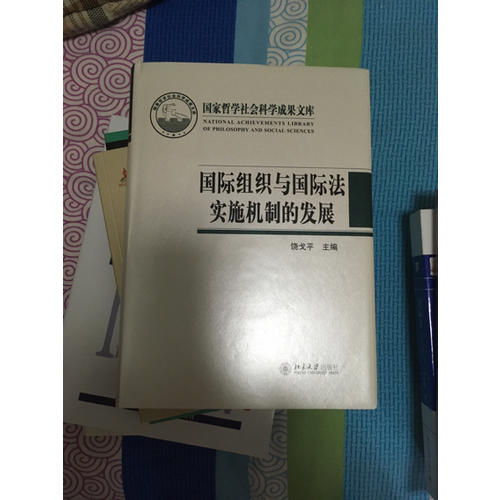 國際組織與國際法實施機制的發展