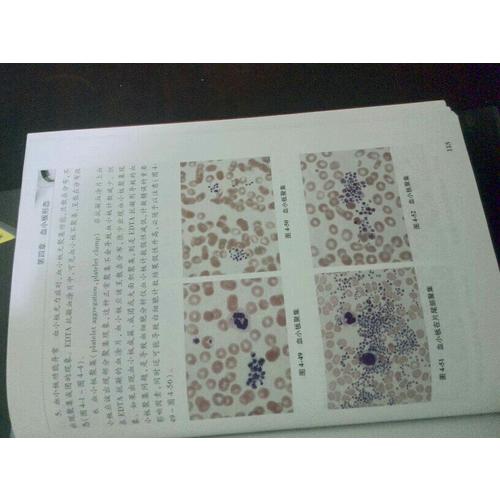 血象·外周血細(xì)胞圖譜
