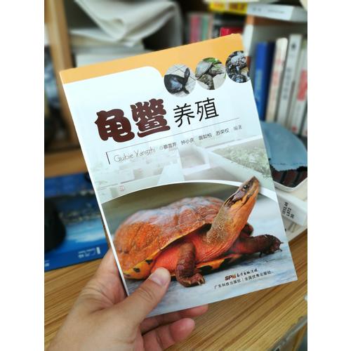 龜鱉養殖
