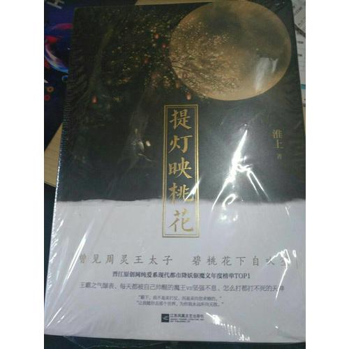 提燈映桃花（上下冊）