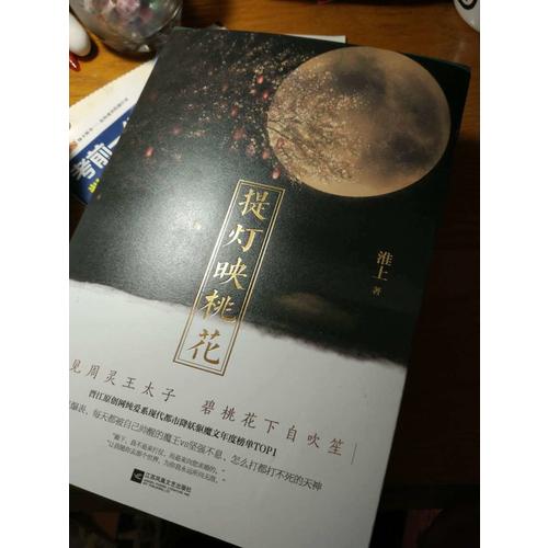 提燈映桃花（上下冊）