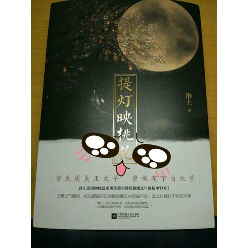 提燈映桃花（上下冊）