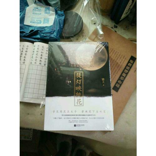 提燈映桃花（上下冊）