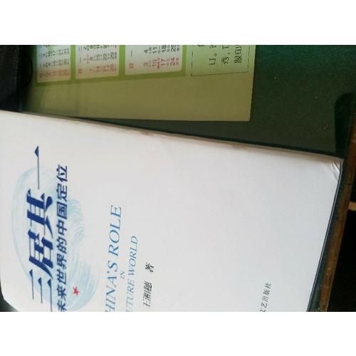 三居其一:未來世界的中國定位
