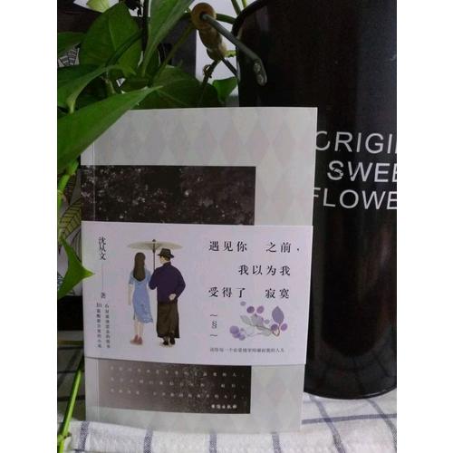 遇見(jiàn)你之前，我以為我受得了寂寞