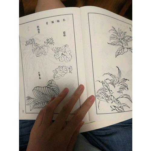 芥子園畫傳（全8冊）