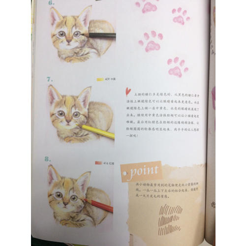 再不學(xué)畫畫我們就老了，我的及時本彩鉛書