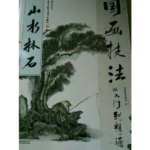國(guó)畫(huà)技法從入門(mén)到精通 山水林石