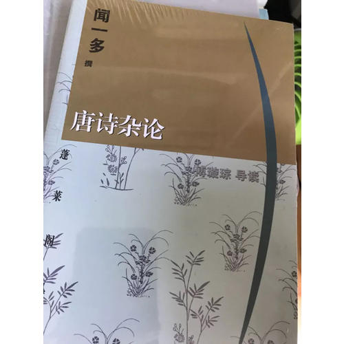 唐詩雜論(蓬萊閣叢書)