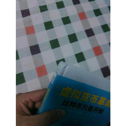 虛擬貨幣革命：比特幣只是開始