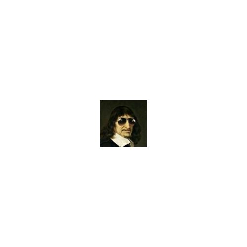 批評:關(guān)于藝術(shù)和藝術(shù)家的評論