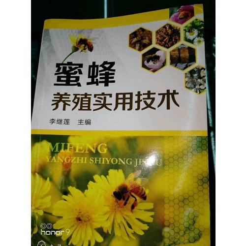 蜜蜂養(yǎng)殖實用技術(shù)