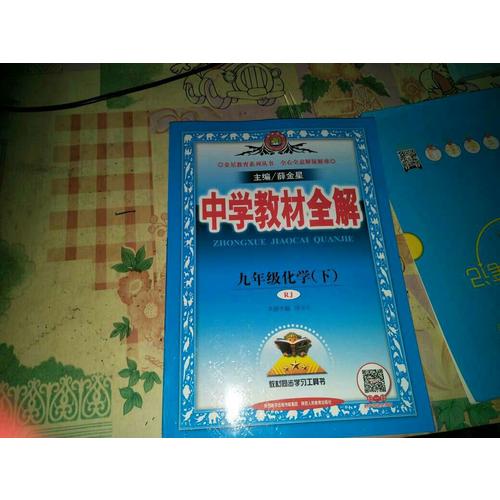 2018春 中學教材全解 九年級化學下 人教版